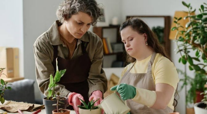 NDIS gardening services in Donnybrook